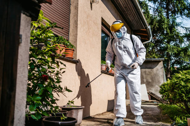 Best Pest Inspection Near Me  in Bainbridge, GA