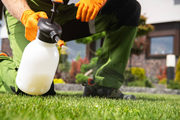 Best Best Pest Control Companies  in Bainbridge, GA