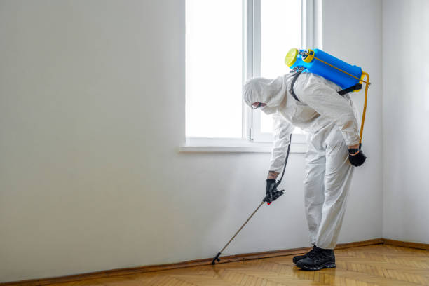 Best Termite Control Services  in Bainbridge, GA