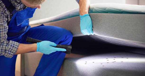 Best Pest Control for Restaurants  in Bainbridge, GA