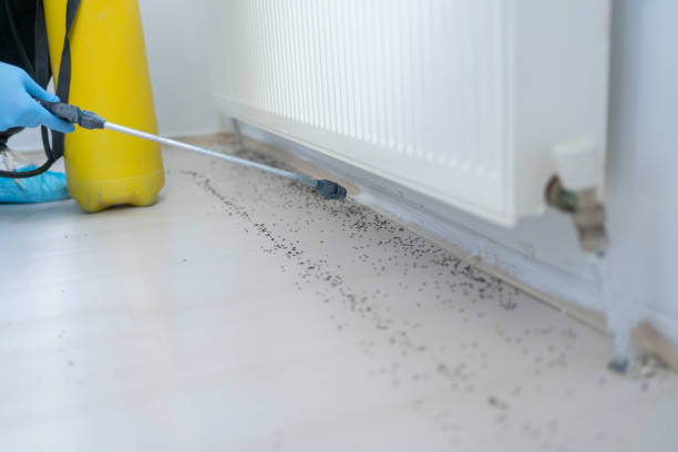 Best Affordable Exterminators  in Bainbridge, GA