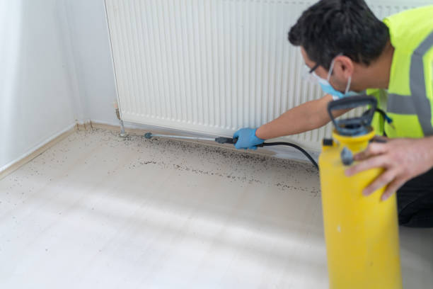 Best Ant Control Services  in Bainbridge, GA