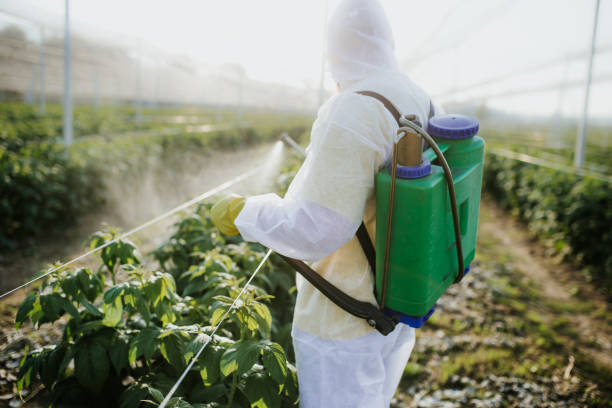 Best Cockroach Control Services  in Bainbridge, GA